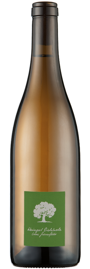 Jeninser Pinot Blanc 2021 Weingut Eichholz Jeninser Pinot Blanc 2021 Weingut Eichholz