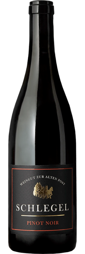Jeninser Pinot Noir 2022 Georg Schlegel Jeninser Pinot Noir 2022 Georg Schlegel