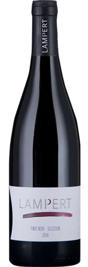 Maienfelder Pinot Noir Sélection 2020 Lampert