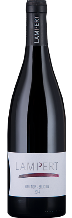 Maienfelder Pinot Noir Sélection 2020 Lampert Maienfelder Pinot Noir Sélection 2020 Lampert