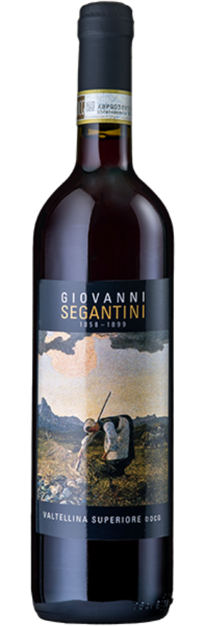 Giovanni Segantini 2018 Triacca, Valtelina Superiore DOCG, Nebbiolo, Valtellina