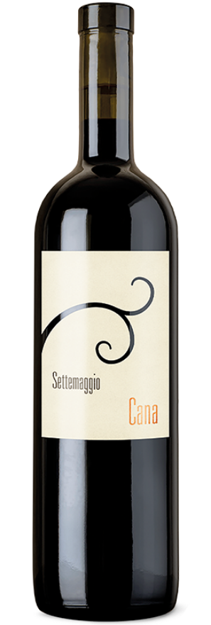 Cana bianco 2022 Cantina Settemaggio, Vdt Svizzera Italiana, Merlot, Sauvignon Soyhières, Tessin