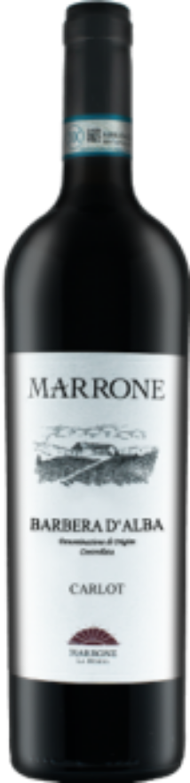 Barbera d`Alba Carlot 2019 Marrone