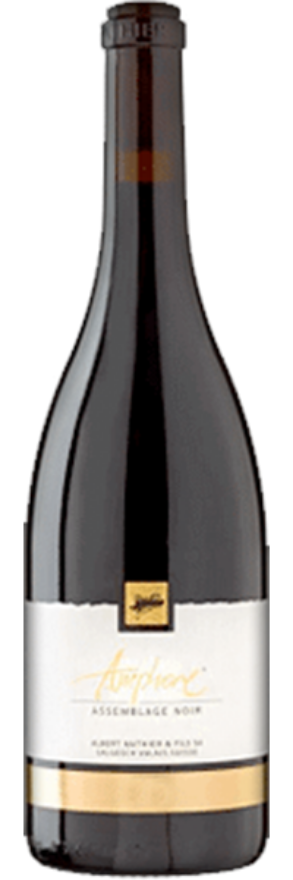 Amphore noir 2020 Albert Mathier & Fils, vin orange / vin naturel, Diolinoir, Wallis