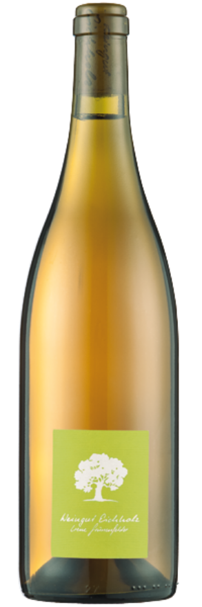 Jeninser Sauvignon Blanc 2023 Weingut Eichholz Jeninser Sauvignon Blanc 2023 Weingut Eichholz