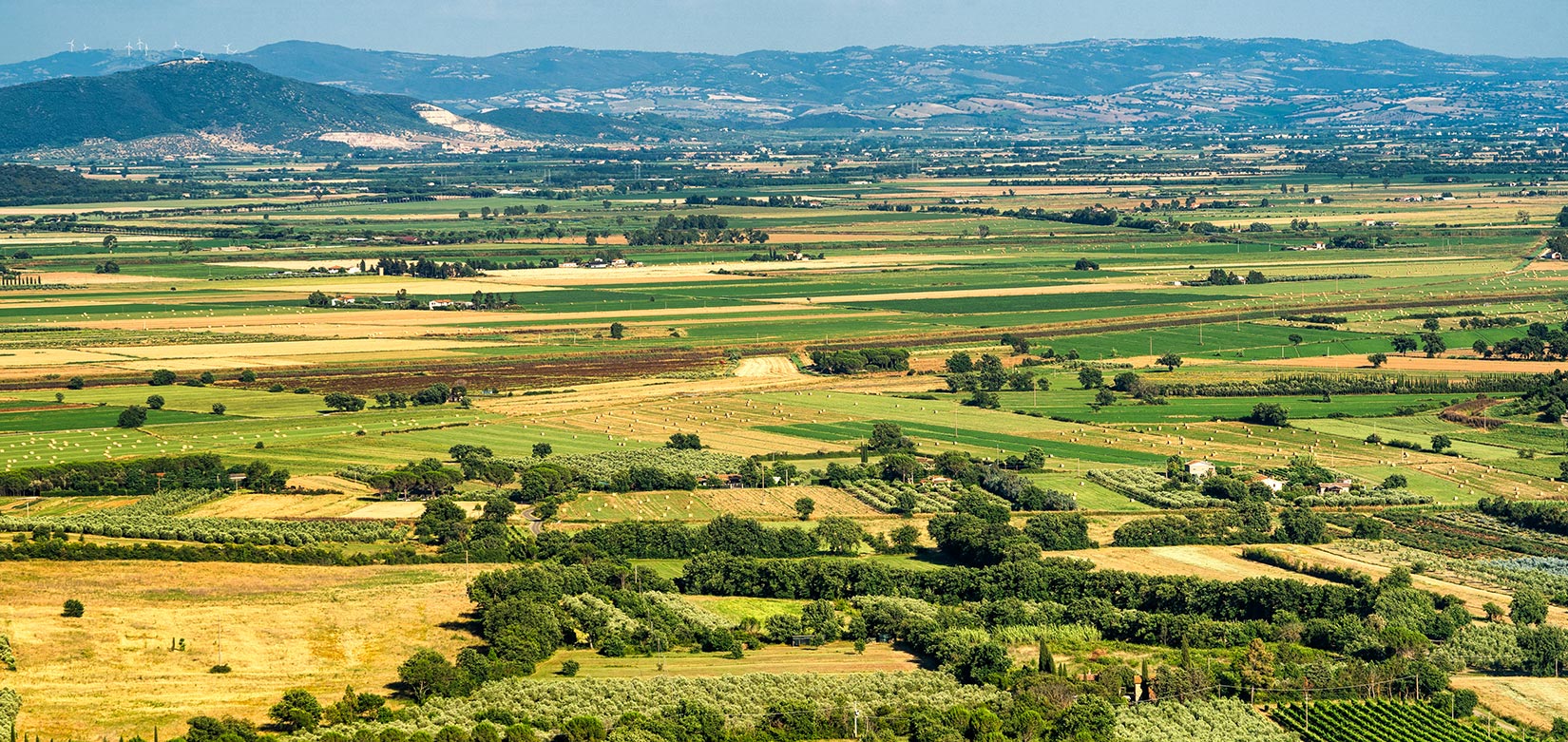 Zeige Produkte für Kategorie Maremma Bild für Kategorie Maremma