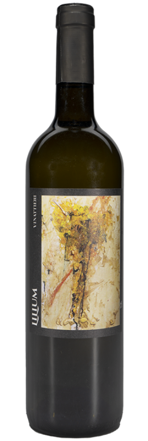 Lilium BIanco di Merlot 2023 Vinattieri, 75cl, Ticino DOC, Merlot, Tessin