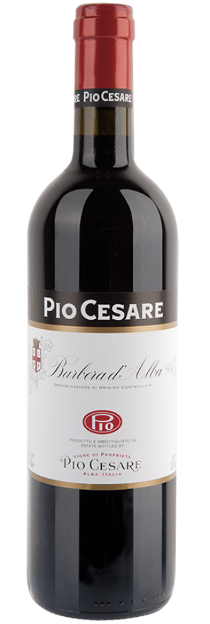 Barbera d'Alba 2023 Pio Cesare