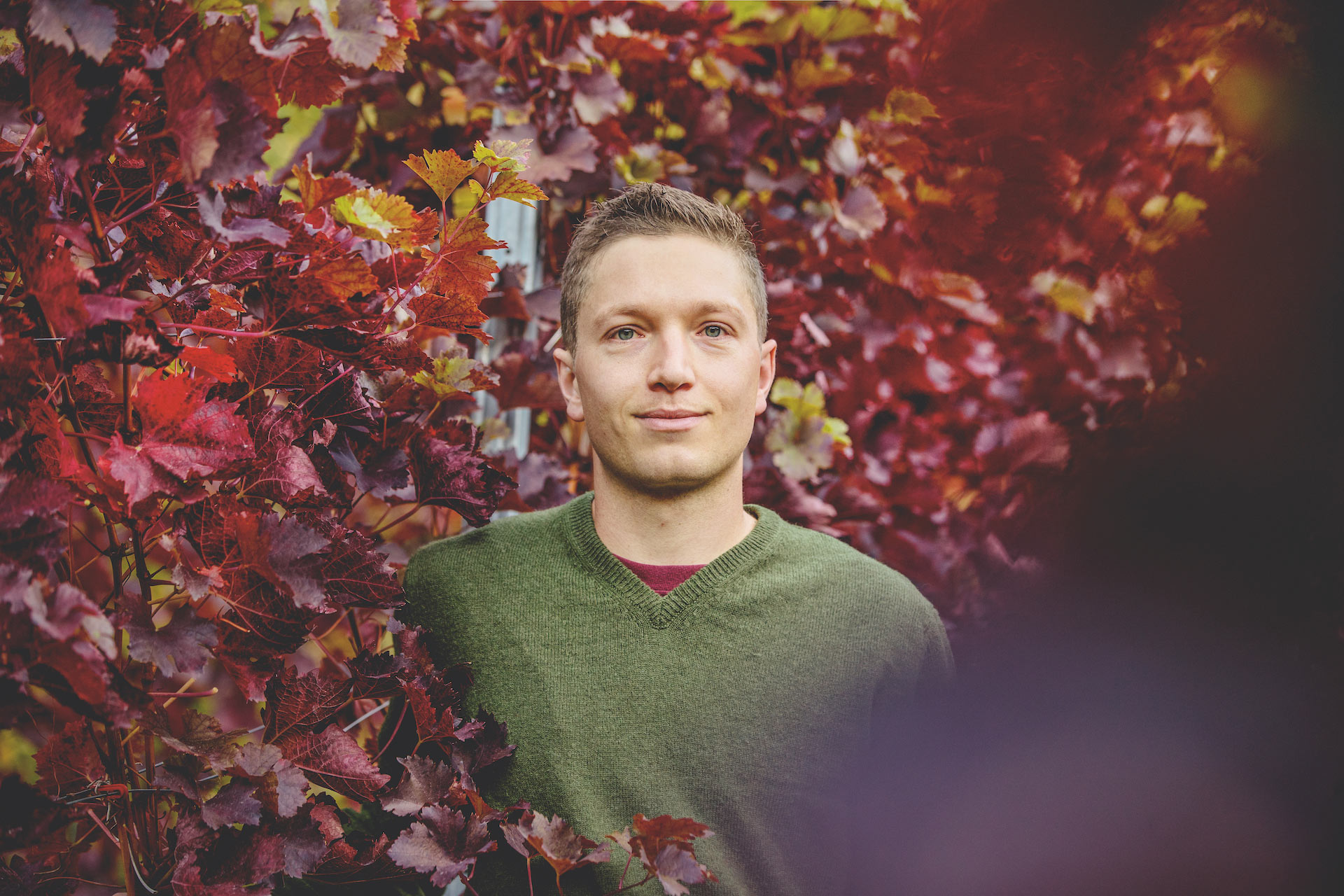 Bild für Kategorie Roman Hermann