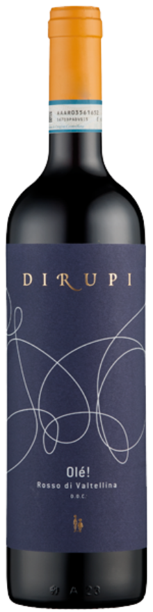 Olé! 2024 Dirupi, 75cl, Rosso di Valtellina DOC, BIO, Nebbiolo, Valtellina