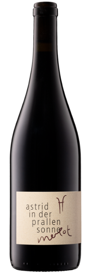 Merlot 2023 Schifferli