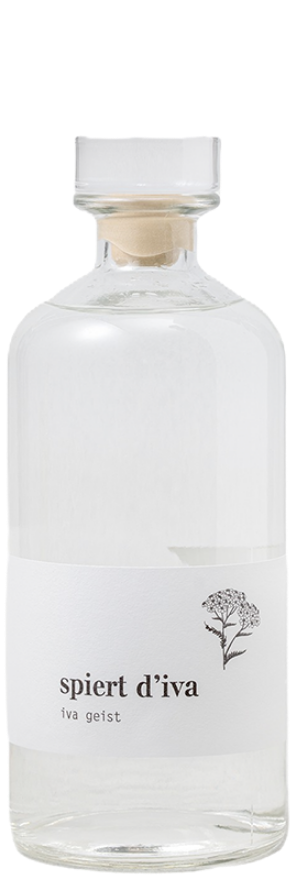 Iva Geist 40° Mia Iva