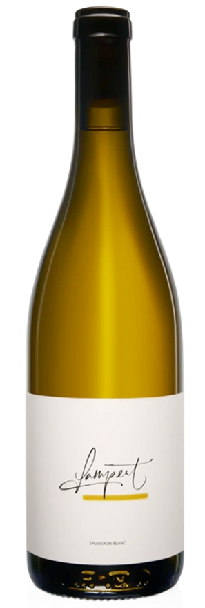 Maienfelder Sauvignon Blanc 2024 Weingut Lampert