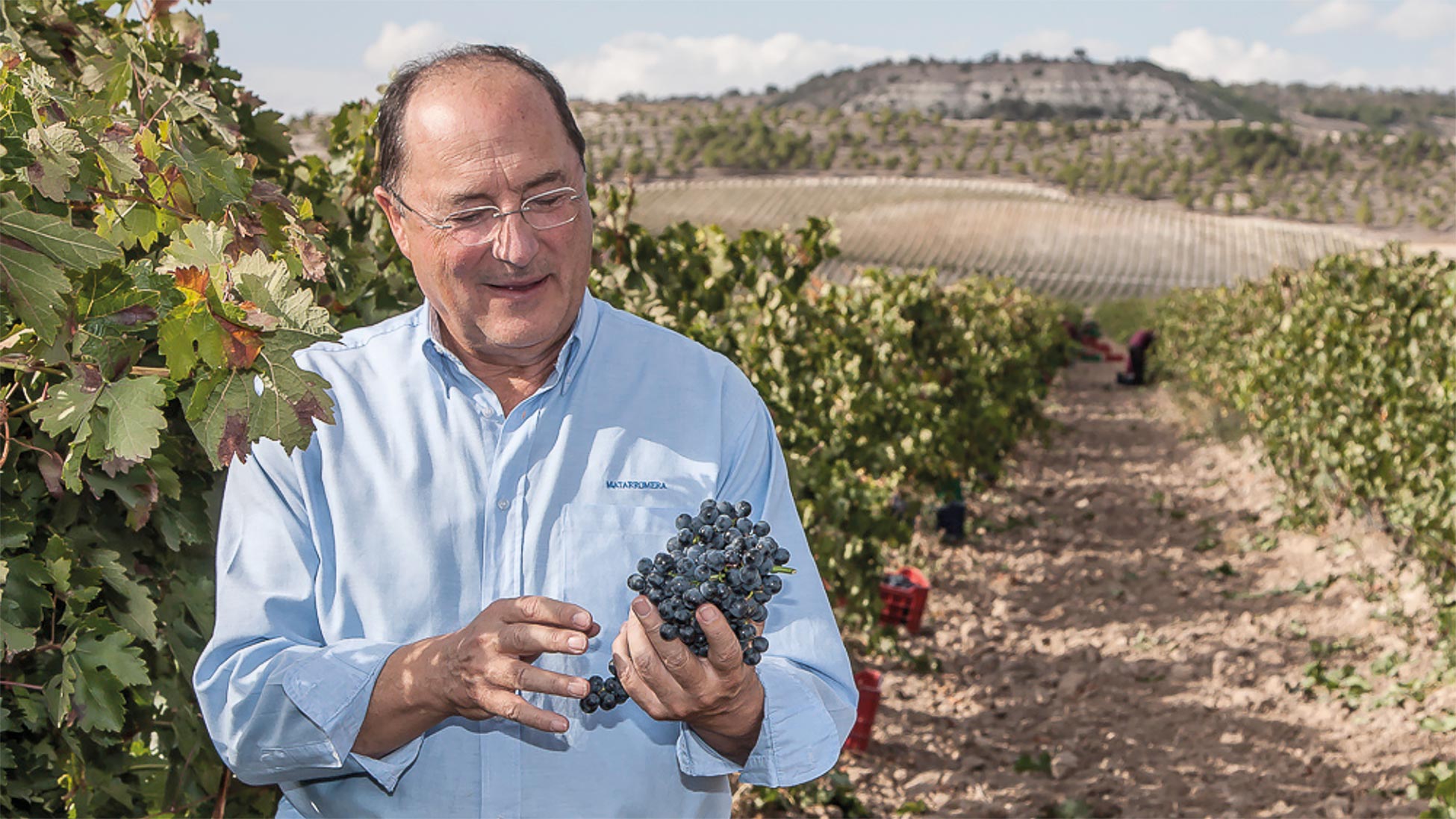 Bild für Kategorie Bodega Matarromera