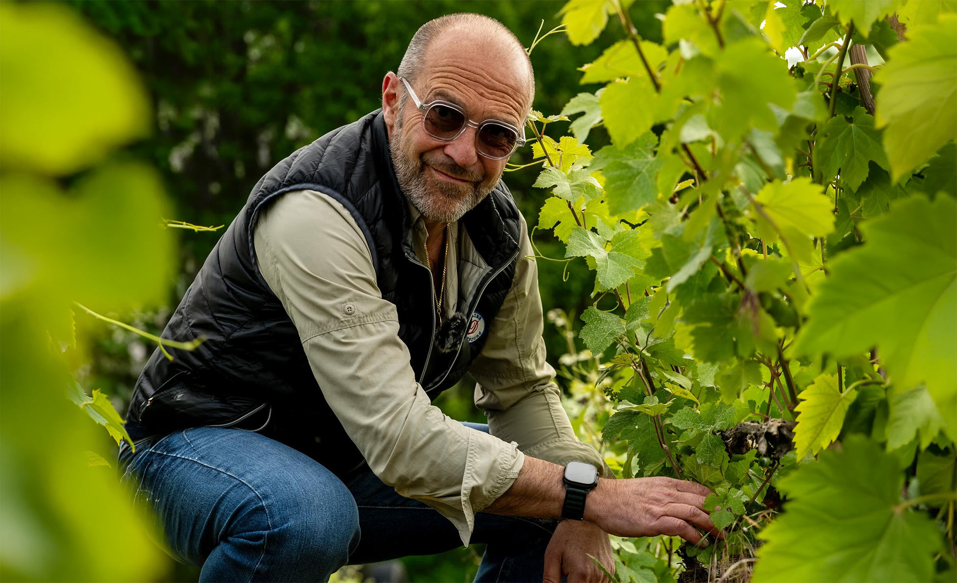 Bild für Kategorie Domaine Dehours