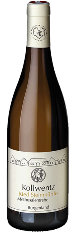 Sauvignon Blanc Methusalemreben 2022 Kollwentz, 75cl, Burgenland, Sauvignon Blanc, Burgenland