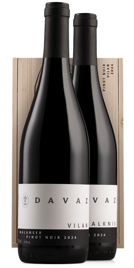 Davaz Terroirweinkiste Pinot Noir 2024, 150cl, Falknis und Vilan, AOC Graubünden
2x 75cl, Graubünden