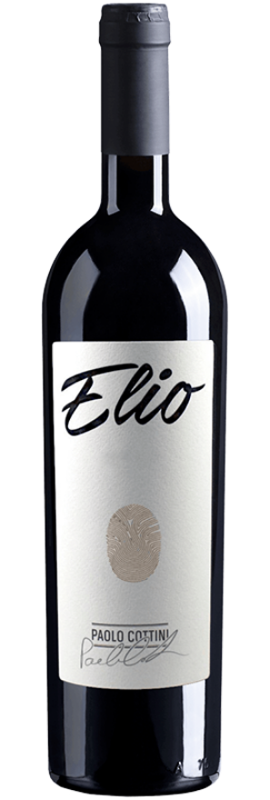 Elio 2020 Paolo Cottini, 75cl, Rosso Veronese IGT, Merlot, Corvina, Veneto