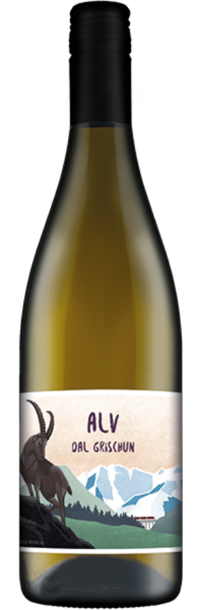 Alb dal Grischun Riesling-Silvaner 2025 von Salis, 50cl, Malanser Riesling Silvaner AOC Graubünden, Riesling-Silvaner, Graubünden