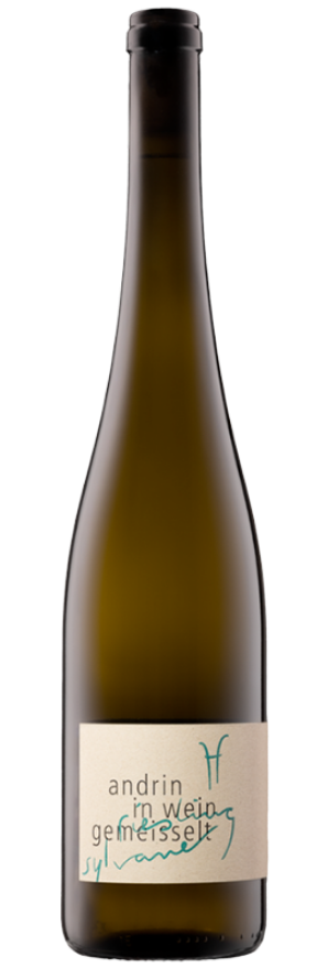 Riesling-Sylvaner 2024 Schifferli
