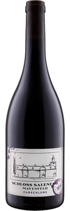 Carschluns Pinot Noir 2022 Schloss Salenegg, 75cl, AOC Graubünden, Graubünden