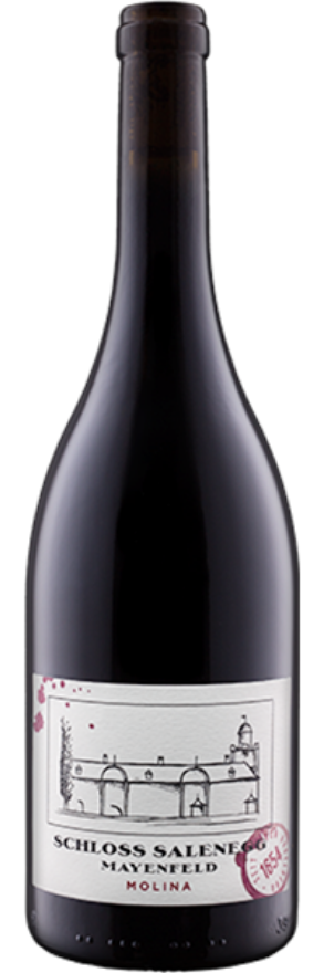 Molina Pinot Noir 2023 Schloss Salenegg, 37.5cl, AOC Graubünden, Graubünden