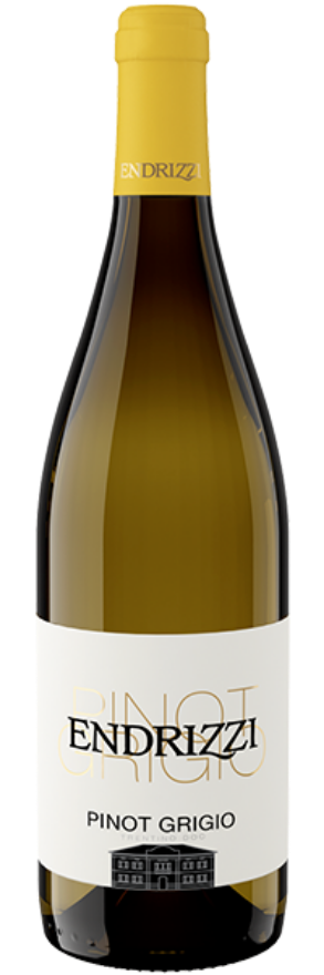 Pinot Grigio 2025 Endrizzi, 75cl, Trentino DOC, Pinot Gris, Trentino