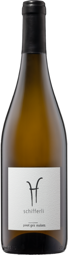 Schifferli Malanser Pinot Gris 2024