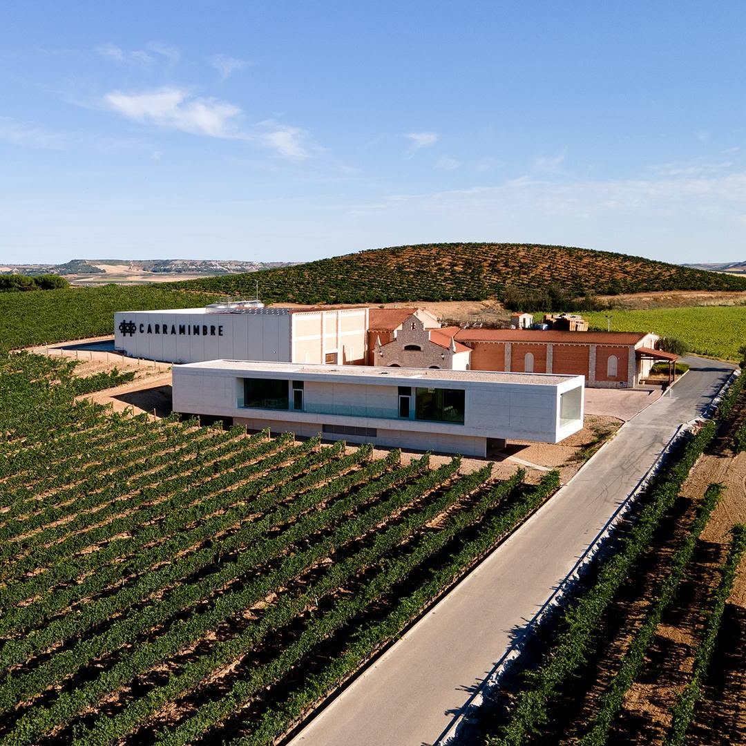 Bild für Kategorie Bodegas Carramimbre