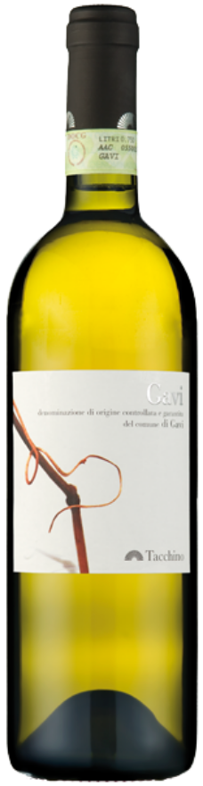 Gavi di Gavi 2025 Luigi Tacchino, 75cl, DOCG, Cortese, Piemont