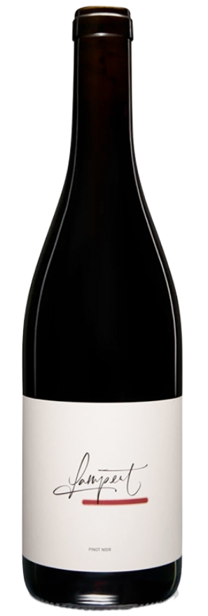 Maienfelder Pinot Noir Kalk&Schiefer 2024 Lampert, 75cl, AOC Graubünden, Graubünden