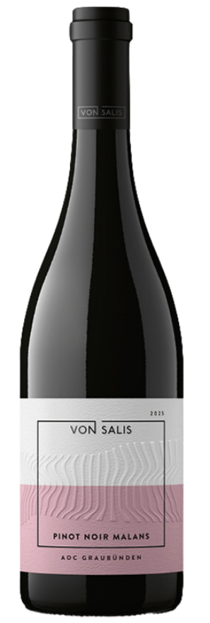 Malanser Pinot Noir 2025 von Salis, 75cl, AOC Graubünden, Graubünden